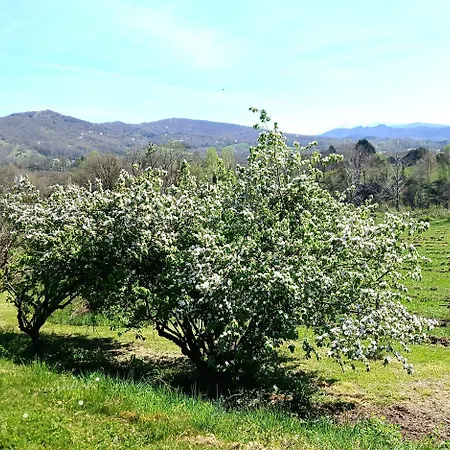 Holiday home Bienvenue Chez Lola