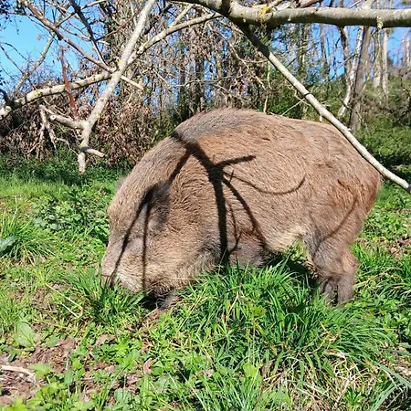 Holiday home Bienvenue Chez Lola